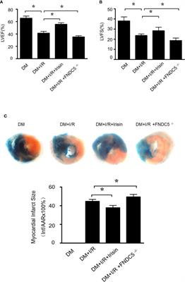 Irisin Attenuates Myocardial Ischemia/Reperfusion Injury and Improves Mitochondrial Function Through AMPK Pathway in Diabetic Mice